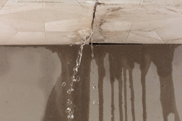 Professional Water Extraction technician working in Dulzura, CA